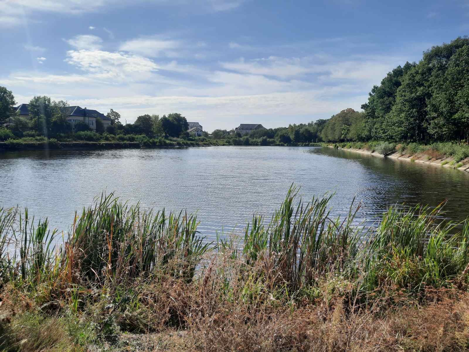 ��������� ������ ��������, ���������, ������������, �����-���������� ���� 1