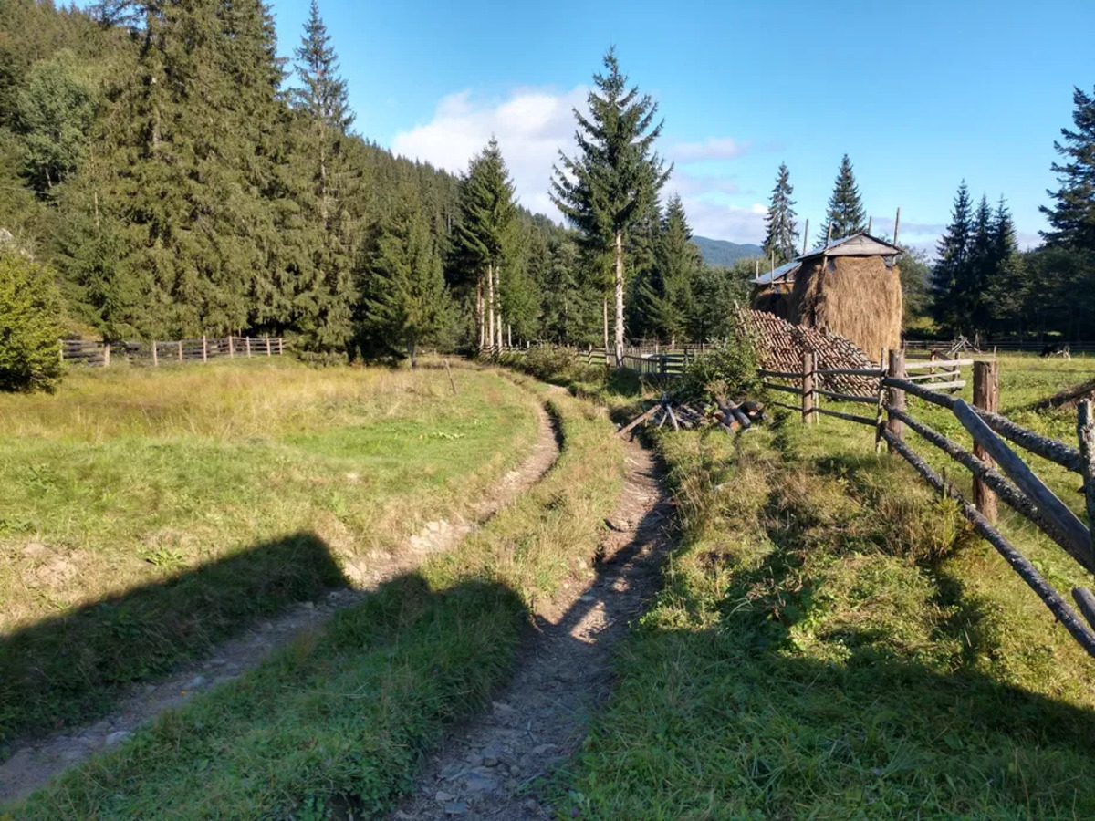 ��������� ������ ��������, �������������, �����-���������� ���� 1