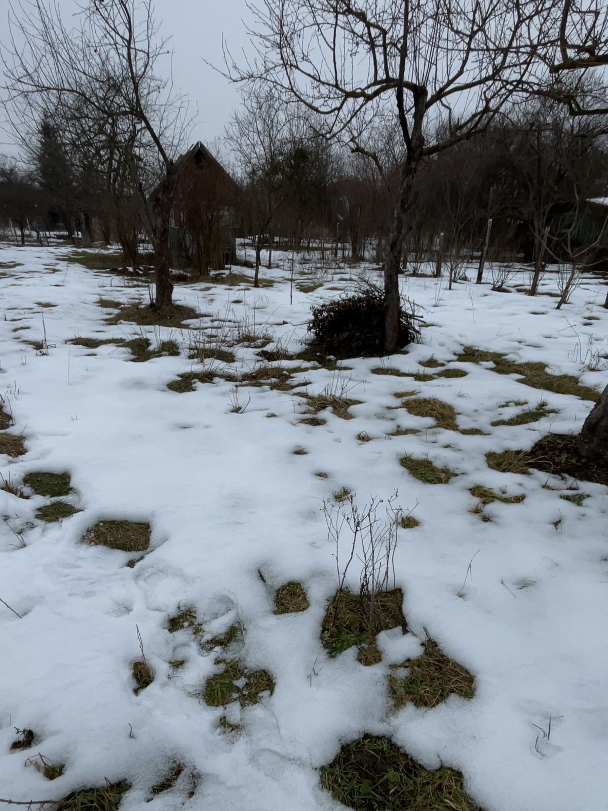 ��������� ������ �����-���������, �����-����������, ����� ���� 1