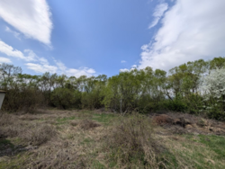 ��������� ������ ���������� ���., �����-���������, �����-����������, ������� ���� 4