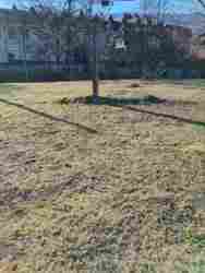 ��������� ������ ������, ���������, �����-���������� ���� 3