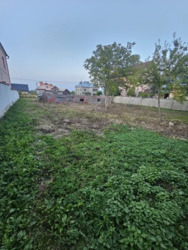 ��������� ������ �������������, �������, �����-��������� ����, �����-���������� ���� 1