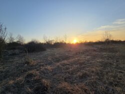 ��������� ������ ��������, �����-��������� ����, �����-���������� ���� 2