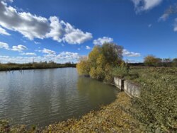 Продається ділянка Івано-Франківська, Тисменецький, Хомяківка фото 1 Продається ділянка Івано-Франківська, Тисменецький, Хомяківка фото 1