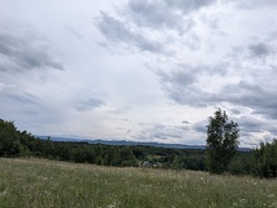 Продається ділянка Щорса, Вербовець, Косівський, Івано-Франківська фото 19 Продається ділянка Щорса, Вербовець, Косівський, Івано-Франківська фото 19