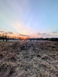 ��������� ������ �������, �����-��������� ����, �����-���������� ���� 1