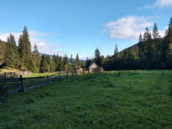 ��������� ������ ��������, �������������, �����-���������� ���� 10