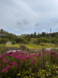 ��������� ������ ��� ĳ�����, ��������, ������������, �����-���������� ���� 5