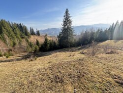 ��������� ������ ���������, �������������, �����-���������� ���� 11