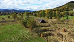 ��������� ������ �����-����������, ���������, ���� ���� 11