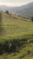 ��������� ������ ���������, �������������, �����-���������� ���� 11