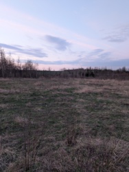 ��������� ������ �������, ������������, �����-���������� ���� 11