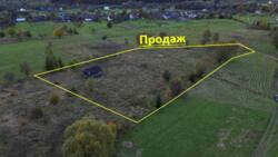 ��������� ������ �����-����������, ���������, ���� ���� 15