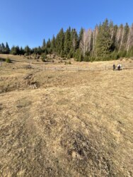 ��������� ������ ���������, �������������, �����-���������� ���� 6