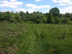 Продається ділянка у с. Підлужжя із виглядом на місто фото 3 Продається ділянка у с. Підлужжя із виглядом на місто фото 3