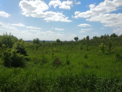 Продається ділянка у с. Підлужжя із виглядом на місто фото 6 Продається ділянка у с. Підлужжя із виглядом на місто фото 6