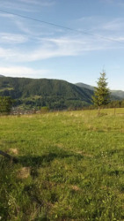 ��������� ������ ���������, �������������, �����-���������� ���� 18