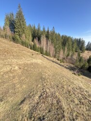 ��������� ������ ���������, �������������, �����-���������� ���� 12