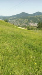 ��������� ������ ���������, �������������, �����-���������� ���� 4