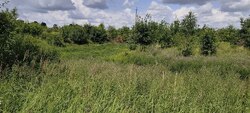 Продається ділянка Неговці, Калушський, Івано-Франківська фото 4 Продається ділянка Неговці, Калушський, Івано-Франківська фото 4
