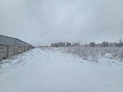 ��������� ������ ��������, �����-��������� ����, �����-���������� ���� 4