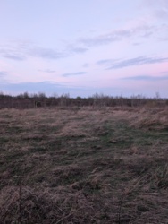 ��������� ������ �������, ������������, �����-���������� ���� 12