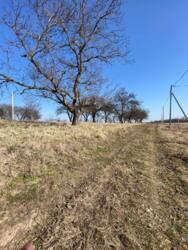 ��������� ������ ��������� �. ���., �������, ���������������, �����-���������� ���� 4