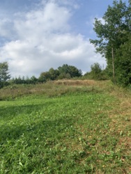 ��������� ������ ������, ������, �����-���������� ���� 7