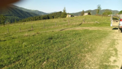 ��������� ������ ���������, �������������, �����-���������� ���� 12