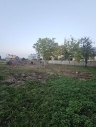 ��������� ������ �������������, �������, �����-��������� ����, �����-���������� ���� 6