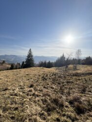 ��������� ������ ���������, �������������, �����-���������� ���� 1