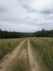 Продається ділянка Щорса, Вербовець, Косівський, Івано-Франківська фото 23 Продається ділянка Щорса, Вербовець, Косівський, Івано-Франківська фото 23