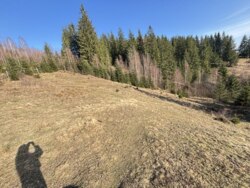 ��������� ������ ���������, �������������, �����-���������� ���� 9