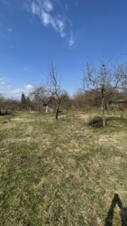 ��������� ������ �����-���������, �����-����������, ����� ���� 10