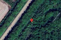 ��������� ������ �����������, ���������������, �����-���������� ���� 4