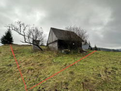 ��������� ������ ��������, ������, �����-���������� ���� 3