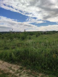 Продаж земельної ділянки під будівництво в с.Клузів фото 2 Продаж земельної ділянки під будівництво в с.Клузів фото 2