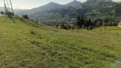 ��������� ������ ���������, �������������, �����-���������� ���� 13