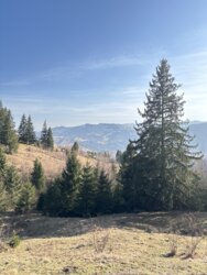 ��������� ������ ���������, �������������, �����-���������� ���� 3