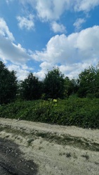 Продається ділянка Довбуша, Підлісся, Івано-Франківські села, Івано-Франківська фото 14 Продається ділянка Довбуша, Підлісся, Івано-Франківські села, Івано-Франківська фото 14