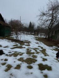 ��������� ������ �����-���������, �����-����������, ����� ���� 2