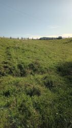 ��������� ������ ���������, �������������, �����-���������� ���� 16