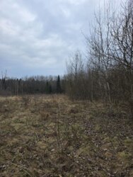 ��������� ������ ������������, ����, ������������, �����-���������� ���� 6