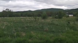 Продається ділянка Смодна, Косівський, Івано-Франківська фото 1 Продається ділянка Смодна, Косівський, Івано-Франківська фото 1