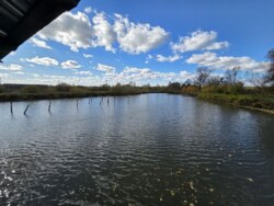 Продається ділянка Івано-Франківська, Тисменецький, Хомяківка фото 3 Продається ділянка Івано-Франківська, Тисменецький, Хомяківка фото 3