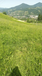 ��������� ������ ���������, �������������, �����-���������� ���� 8