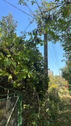 ��������� ������ �����-����������, �����-��������� ����, ��������� ���� 7