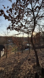 ��������� ������ ��������, ����, ������������, �����-���������� ���� 4