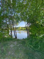 Продається ділянка Дорогенка, Отинія, Коломийський, Івано-Франківська фото 1 Продається ділянка Дорогенка, Отинія, Коломийський, Івано-Франківська фото 1