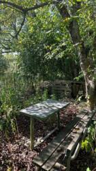 ��������� ������ �����-����������, �����-��������� ����, ��������� ���� 3